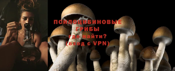 мдпв Нефтекумск
