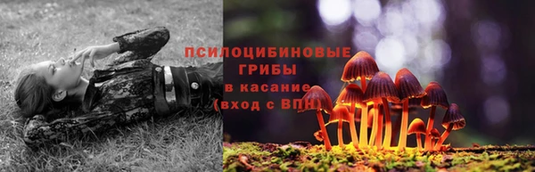 мескалин Абаза