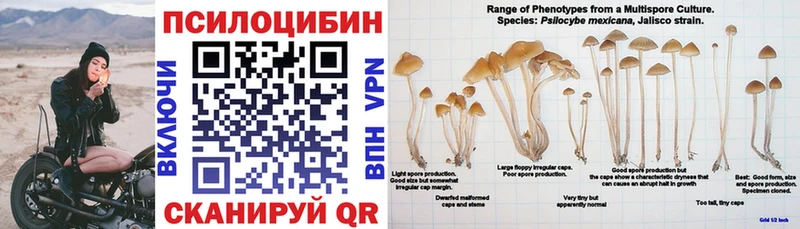 Галлюциногенные грибы мицелий  купить закладку  Юрюзань 